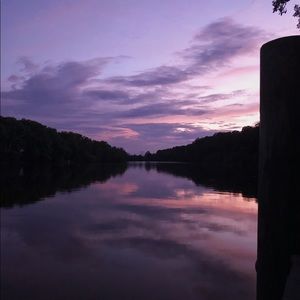 Meet your Posher, Reagan